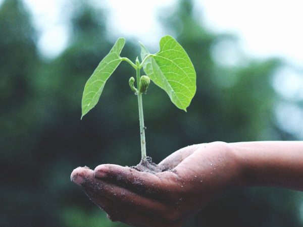 découvrez les enjeux de la durabilité, explorez des pratiques écologiques et apprenez comment intégrer la durabilité dans votre vie quotidienne pour préserver notre planète pour les générations futures.