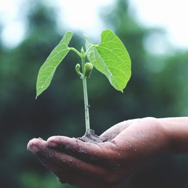 découvrez les enjeux de la durabilité, explorez des pratiques écologiques et apprenez comment intégrer la durabilité dans votre vie quotidienne pour préserver notre planète pour les générations futures.