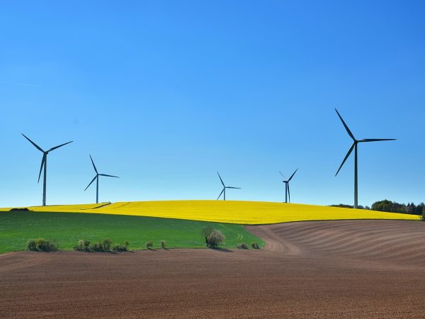 découvrez les enjeux et les solutions du développement durable : un équilibre entre croissance économique, protection de l'environnement et bien-être social pour un avenir responsable et équitable.