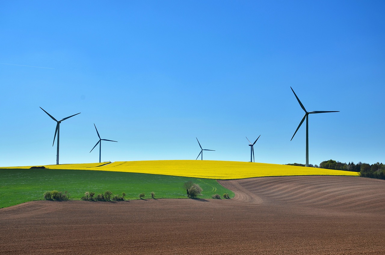 découvrez les enjeux et les solutions du développement durable : un équilibre entre croissance économique, protection de l'environnement et bien-être social pour un avenir responsable et équitable.