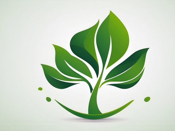 découvrez comment construire un avenir durable grâce à des pratiques respectueuses de l'environnement, l'innovation et la collaboration. engagez-vous pour un monde meilleur pour les générations futures.