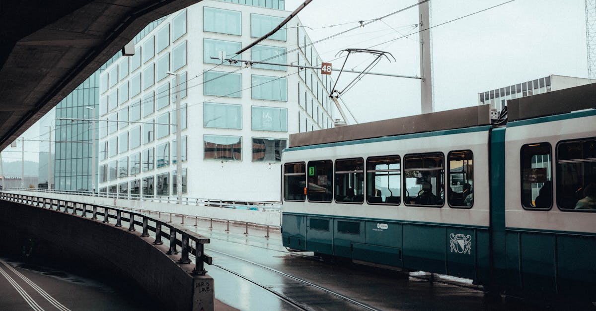 découvrez l'importance des infrastructures durables pour un avenir respectueux de l'environnement. explorez des solutions innovantes qui allient développement économique et préservation des ressources naturelles.
