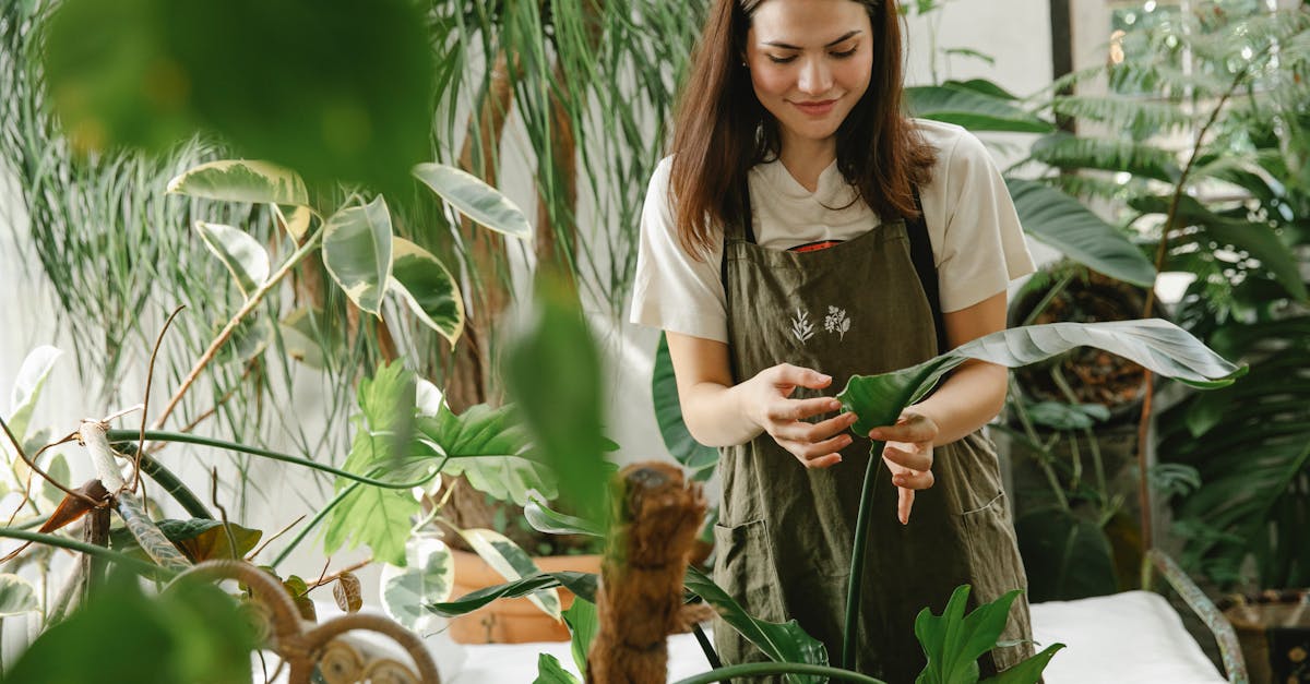 découvrez les emplois durables qui allient passion et respect de l'environnement. explorez les carrières qui contribuent à un avenir plus vert tout en offrant des opportunités professionnelles enrichissantes et épanouissantes.