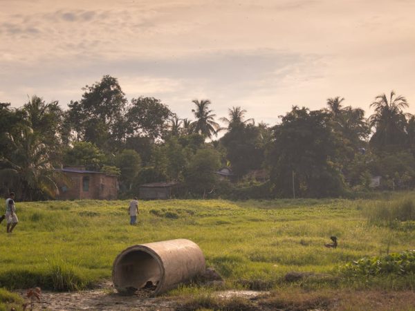 découvrez des conseils pratiques et des idées inspirantes pour adopter un mode de vie durable. apprenez à réduire votre empreinte écologique, à choisir des produits écoresponsables et à intégrer des habitudes respectueuses de l'environnement dans votre quotidien.