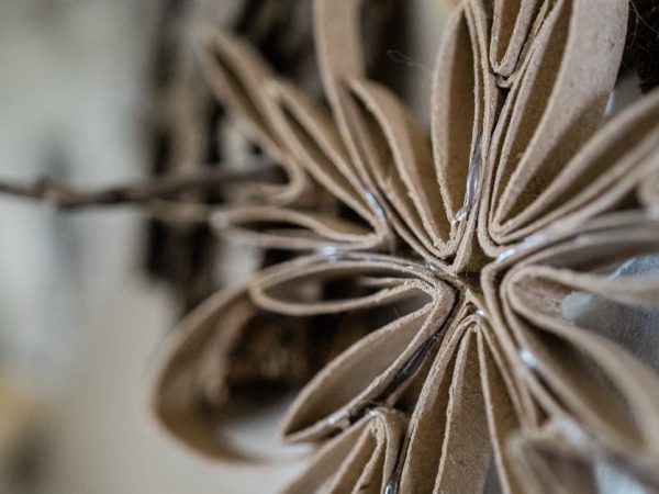 découvrez comment la création de valeur durable peut transformer votre entreprise en intégrant des pratiques responsables et écologiques tout en maximisant les bénéfices à long terme.