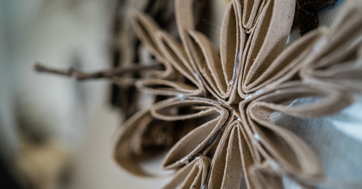 découvrez comment la création de valeur durable peut transformer votre entreprise en intégrant des pratiques responsables et écologiques tout en maximisant les bénéfices à long terme.