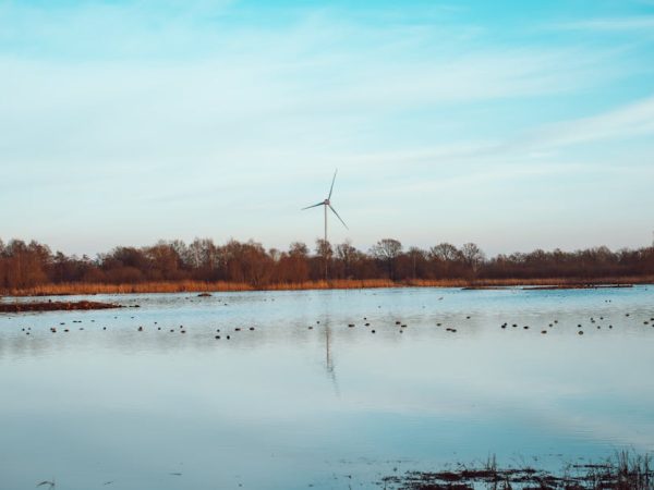 découvrez le potentiel des bioénergies : une solution durable et écologique pour la production d'énergie. apprenez comment ces sources renouvelables contribuent à la préservation de notre planète tout en répondant à nos besoins énergétiques croissants.