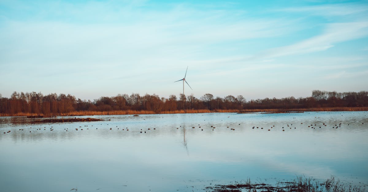 découvrez le potentiel des bioénergies : une solution durable et écologique pour la production d'énergie. apprenez comment ces sources renouvelables contribuent à la préservation de notre planète tout en répondant à nos besoins énergétiques croissants.