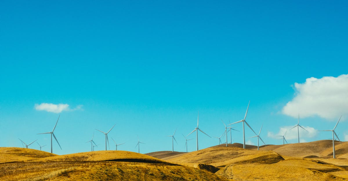 découvrez les solutions d'énergie propre et durable qui transforment notre avenir. apprenez comment les énergies renouvelables, telles que l'éolien, le solaire et l'hydraulique, contribuent à réduire l'empreinte carbone et à promouvoir un environnement sain.