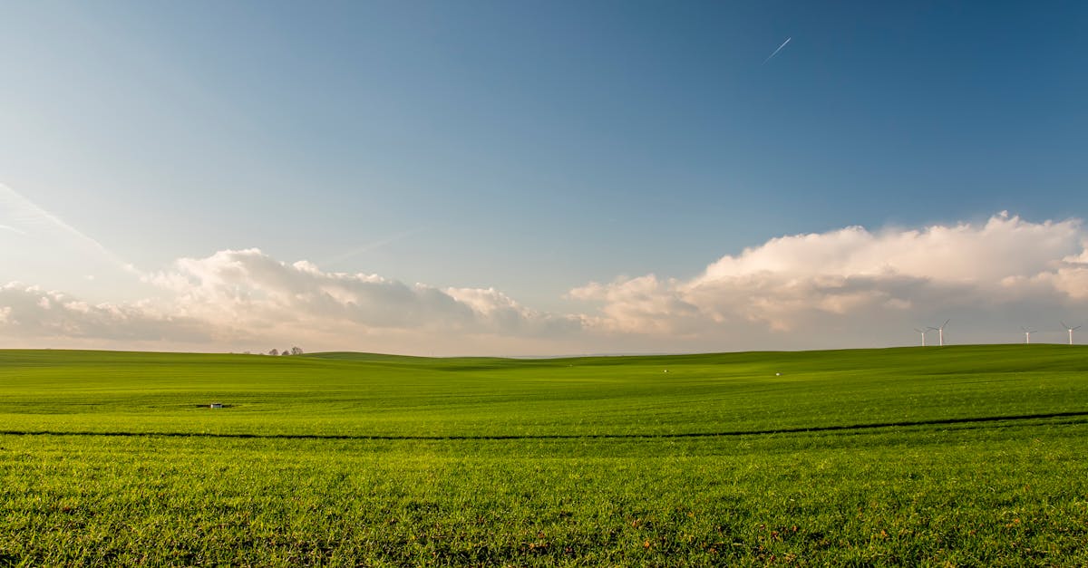 découvrez les dernières avancées en matière d'énergie propre : technologies innovantes, solutions durables et stratégies pour un avenir plus vert. rejoignez le mouvement vers un monde alimenté par des sources d'énergie renouvelable.