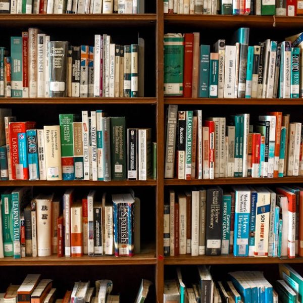 découvrez une gamme de ressources éducatives variées pour enrichir vos apprentissages. que vous soyez étudiant, enseignant ou autodidacte, trouvez des outils, des supports et des guides pour vous accompagner dans votre parcours éducatif.
