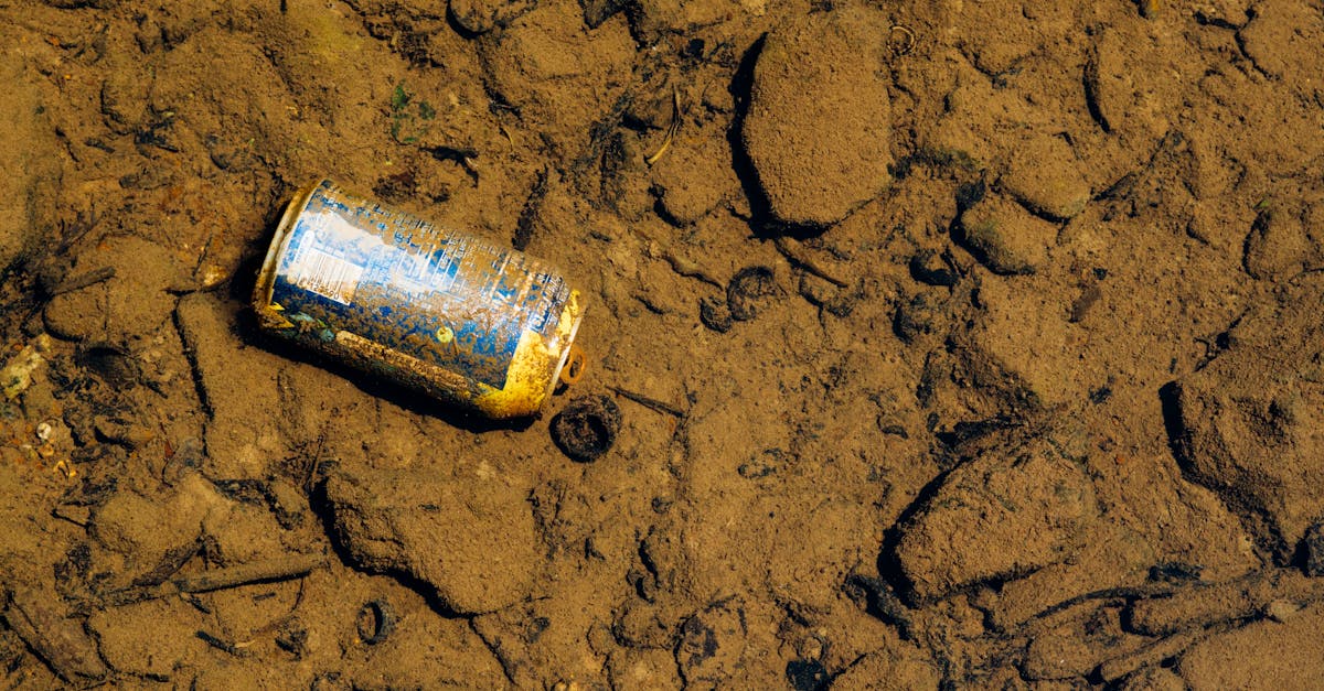 découvrez les impacts environnementaux majeurs qui affectent notre planète. analysez les conséquences des activités humaines sur la biodiversité, la qualité de l'air et l'eau, et explorez des solutions durables pour préserver notre environnement.