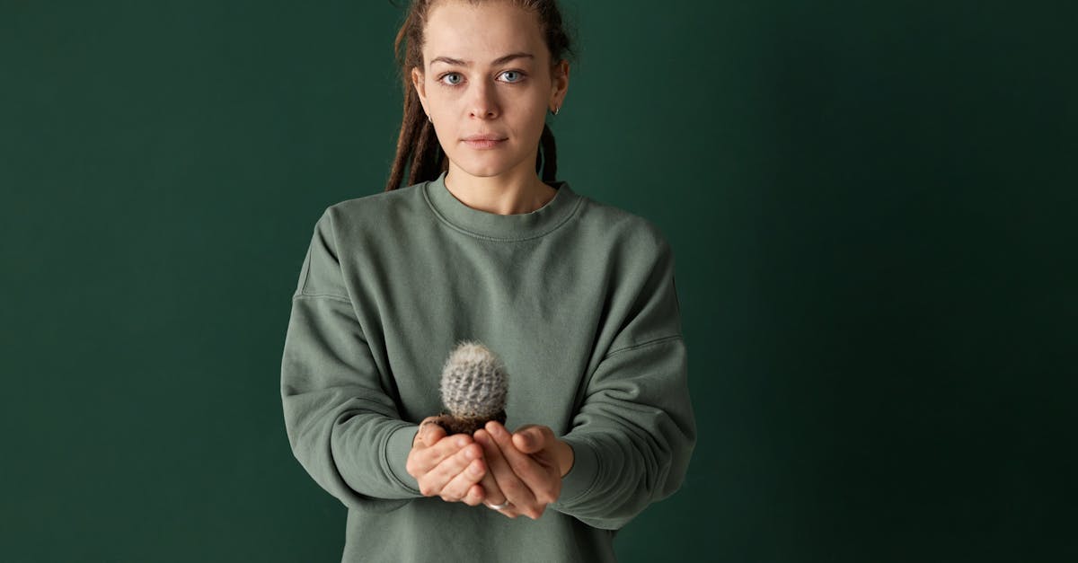 découvrez les tendances environnementales actuelles qui façonnent notre monde. explorez les innovations durables, les enjeux écologiques et les mouvements vers un avenir plus vert. restez informé sur les actions nécessaires pour protéger notre planète.