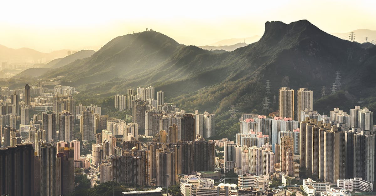 découvrez l'infrastructure verte, une approche innovante pour intégrer la nature dans la planification urbaine. apprenez comment elle améliore la durabilité, la biodiversité et le bien-être des communautés tout en offrant des solutions face aux défis environnementaux.