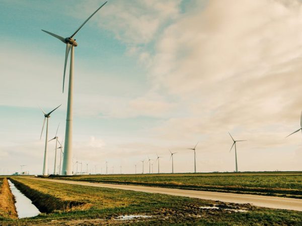 découvrez l'importance des infrastructures vertes dans la gestion durable de notre environnement. apprenez comment elles contribuent à la biodiversité, à la régulation climatique et à l'amélioration de la qualité de vie en milieu urbain.