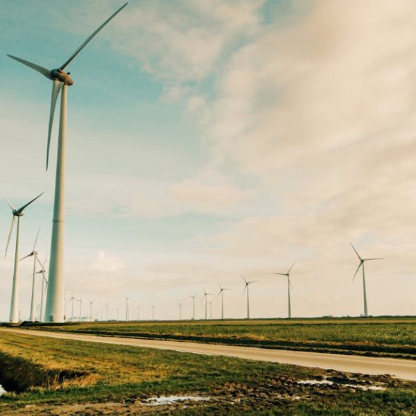 découvrez l'importance des infrastructures vertes dans la gestion durable de notre environnement. apprenez comment elles contribuent à la biodiversité, à la régulation climatique et à l'amélioration de la qualité de vie en milieu urbain.