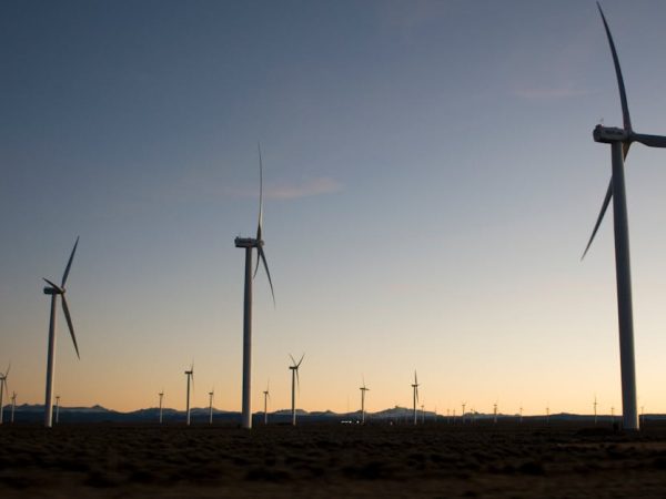 découvrez les principes du développement durable, une approche essentielle pour préserver notre planète tout en répondant aux besoins des générations présentes et futures. explorez les stratégies, les initiatives et les pratiques durables qui favorisent une coexistence harmonieuse entre l'économie, l'environnement et la société.