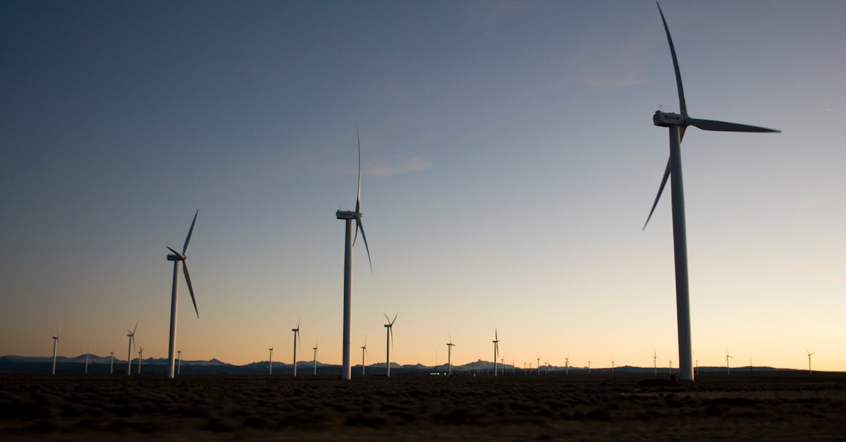découvrez les principes du développement durable, une approche essentielle pour préserver notre planète tout en répondant aux besoins des générations présentes et futures. explorez les stratégies, les initiatives et les pratiques durables qui favorisent une coexistence harmonieuse entre l'économie, l'environnement et la société.