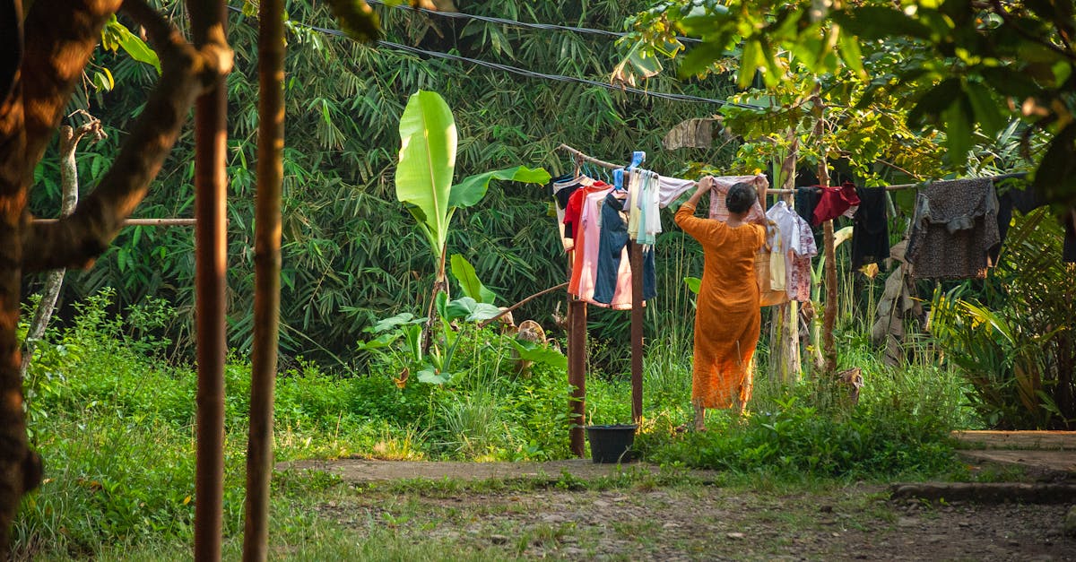 découvrez comment une gouvernance durable peut transformer notre société en intégrant des pratiques responsables, innovantes et respectueuses de l'environnement, tout en favorisant un développement équitable pour les générations futures.