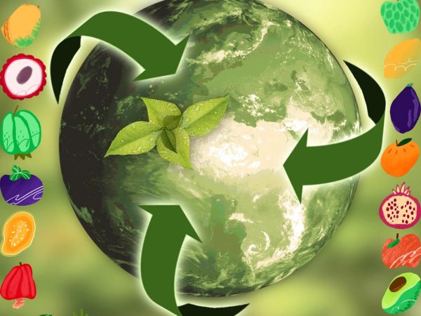 découvrez le concept d'hospitalité durable, alliant confort, respect de l'environnement et développement communautaire, pour une expérience unique et responsable lors de vos séjours.