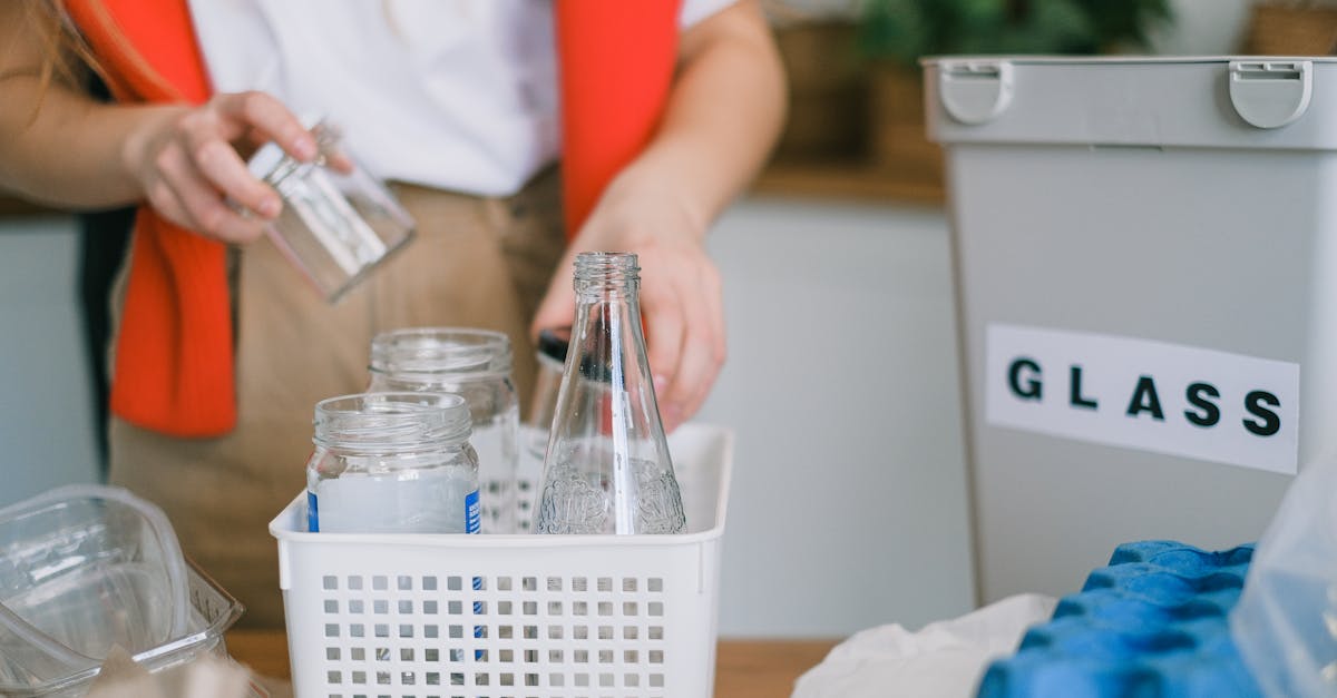 découvrez des pratiques durables essentielles pour un mode de vie éco-responsable. apprenez à réduire votre empreinte carbone, à optimiser vos ressources et à favoriser un avenir plus vert grâce à des gestes simples et efficaces.
