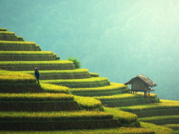 découvrez notre sélection d'outils durables qui allient performance et respect de l'environnement. fabriqués à partir de matériaux écologiques, nos produits vous aident à réaliser vos projets tout en préservant la planète. optez pour des solutions responsables et efficaces avec nos outils durables.