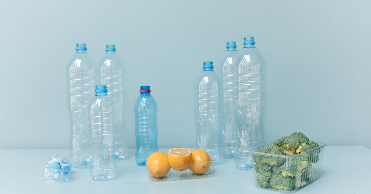 découvrez des solutions de gestion des déchets efficaces et durables. optimisez le recyclage, réduisez votre empreinte écologique et apprenez à bien gérer vos déchets pour un avenir plus propre.