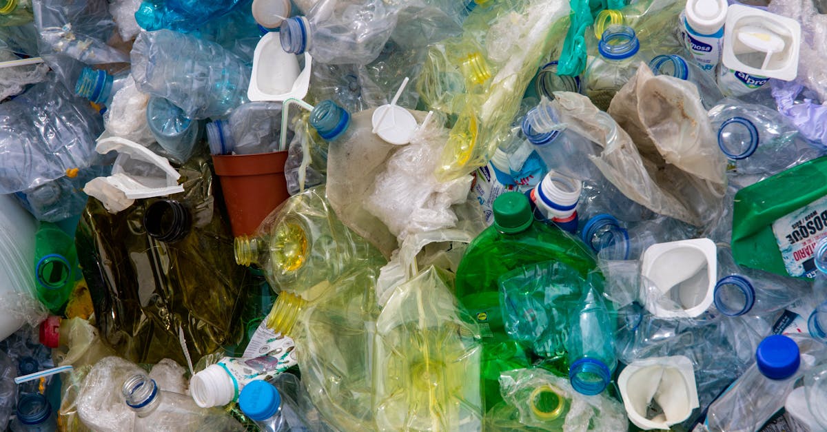 découvrez les méthodes innovantes de valorisation des déchets, une approche durable pour transformer les déchets en ressources utiles et contribuer à la préservation de notre environnement.