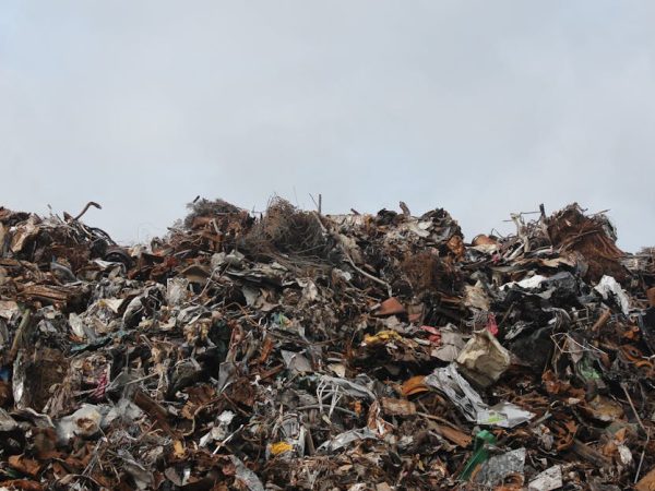 découvrez le processus de valorisation des déchets, une méthode innovante permettant de transformer les matériaux usagés en ressources utiles. apprenez comment cette approche contribue à la durabilité, réduit l'impact environnemental et favorise une économie circulaire.
