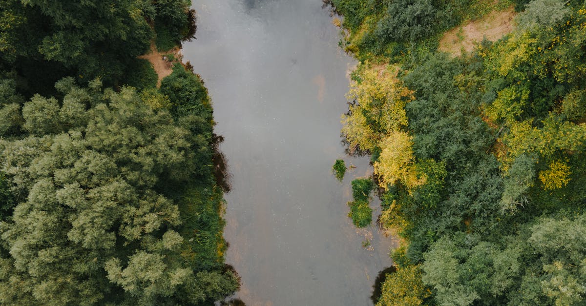 découvrez l'importance des ressources en eau, leur gestion durable et leur impact sur l'environnement et la société. apprenez comment préserver cette ressource précieuse pour les générations futures.