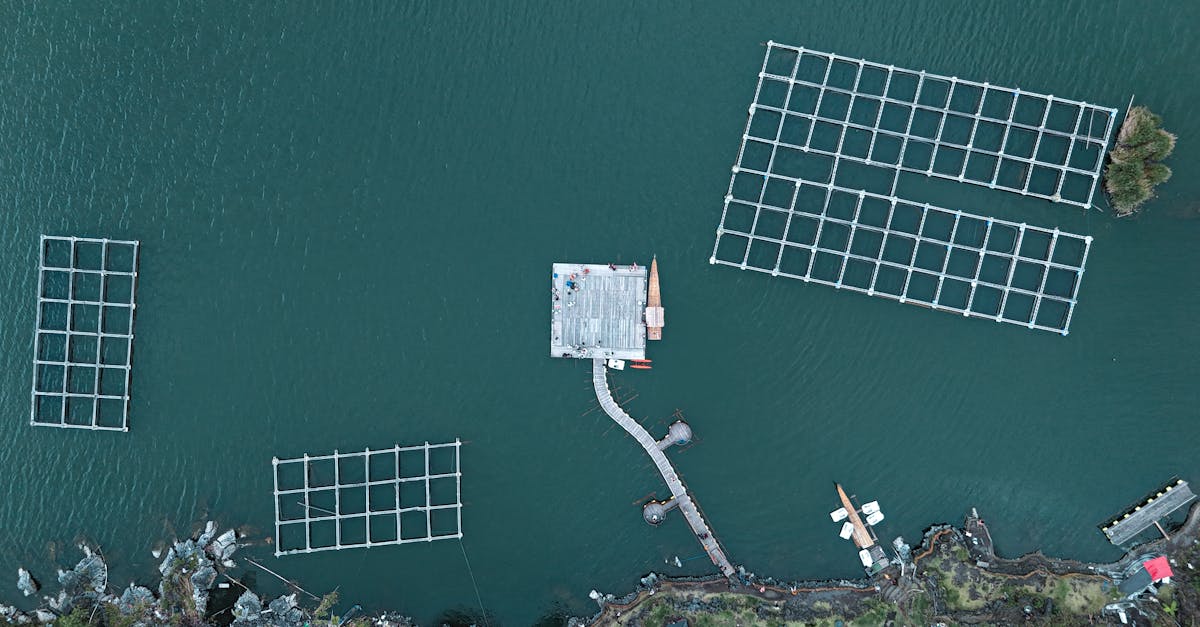 découvrez l'importance des ressources en eau, leur gestion durable et les défis liés à leur préservation. informez-vous sur les stratégies pour protéger cet enjeu vital pour l'environnement et les sociétés.