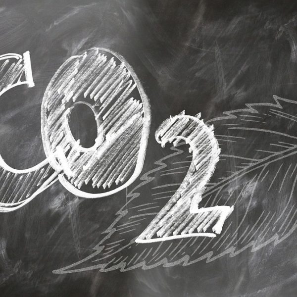 découvrez le fonctionnement du marché du carbone : définition, enjeux, acteurs clés et son rôle dans la lutte contre le changement climatique. comprenez comment l’échange de crédits carbone contribue à la réduction des émissions de co2.