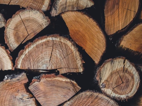 découvrez le concept de l'économie circulaire : un modèle innovant et durable qui vise à réduire le gaspillage, préserver l'environnement et maximiser la réutilisation des ressources. apprenez comment adopter des pratiques responsables et participer à la transition écologique.