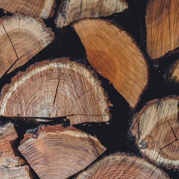 découvrez le concept de l'économie circulaire : un modèle innovant et durable qui vise à réduire le gaspillage, préserver l'environnement et maximiser la réutilisation des ressources. apprenez comment adopter des pratiques responsables et participer à la transition écologique.