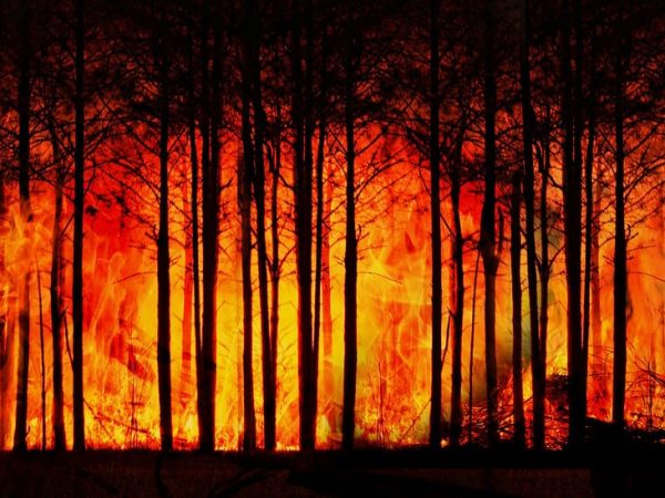découvrez les causes, les impacts et les solutions face au changement climatique. informez-vous sur les actions à mener pour préserver la planète et lutter contre le réchauffement global.