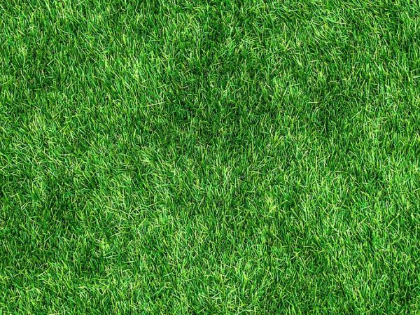 découvrez nos astuces et solutions pour réaliser des économies tout en préservant l'environnement. transformez vos habitudes de consommation pour un avenir durable avec nos conseils éco-responsables.