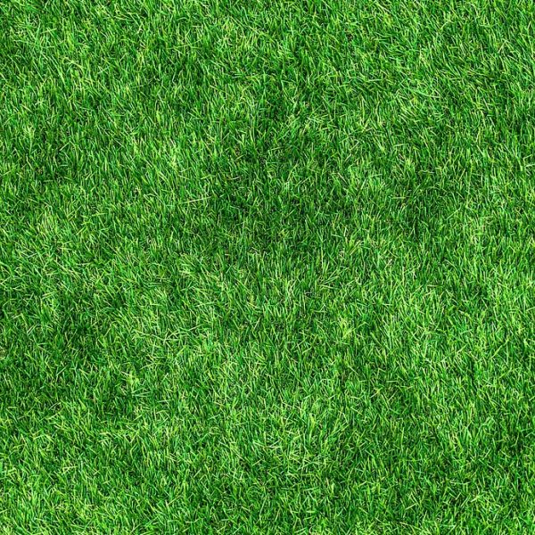 découvrez nos astuces et solutions pour réaliser des économies tout en préservant l'environnement. transformez vos habitudes de consommation pour un avenir durable avec nos conseils éco-responsables.