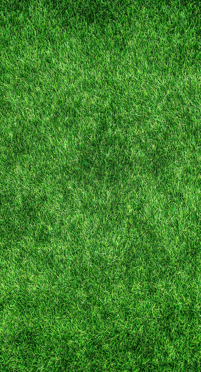 découvrez nos astuces et solutions pour réaliser des économies tout en préservant l'environnement. transformez vos habitudes de consommation pour un avenir durable avec nos conseils éco-responsables.