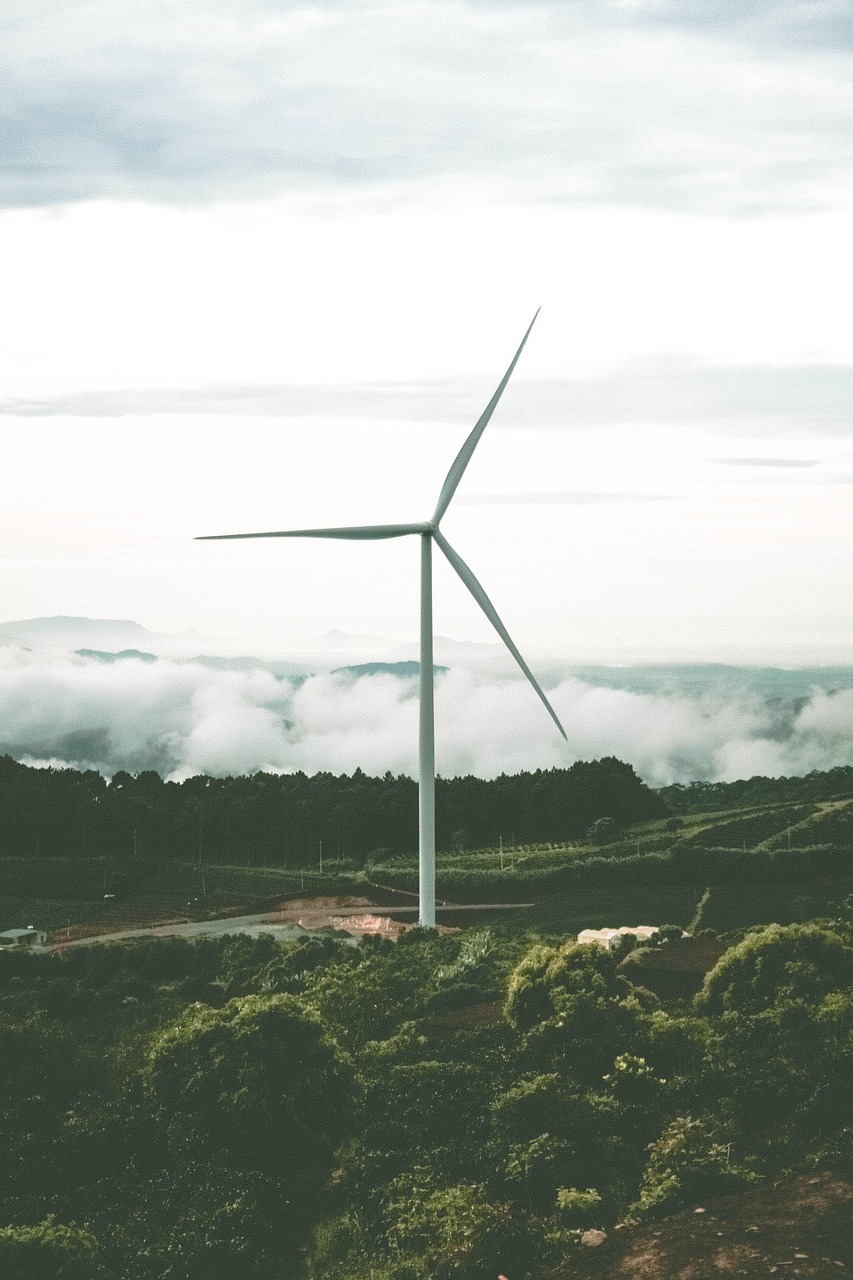 découvrez tout sur l'énergie : sources, innovations, conseils pratiques et dernières actualités pour optimiser votre consommation et adopter des solutions durables.