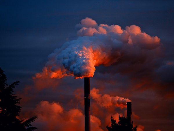 découvrez les conséquences de nos actions sur l'environnement, leurs impacts sur la nature et des solutions pour préserver la planète au quotidien.