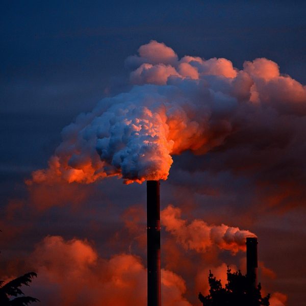 découvrez les conséquences de nos actions sur l'environnement, leurs impacts sur la nature et des solutions pour préserver la planète au quotidien.