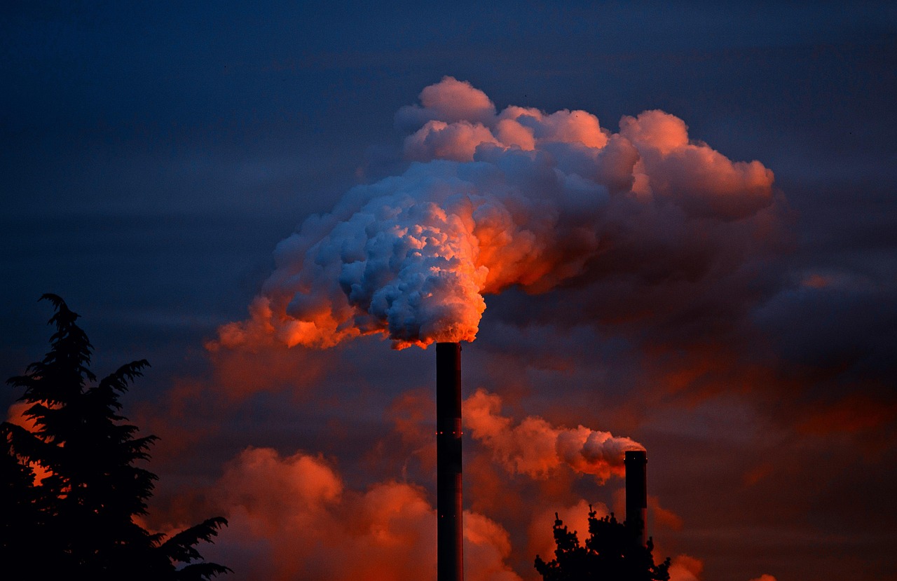 découvrez les conséquences de nos actions sur l'environnement, leurs impacts sur la nature et des solutions pour préserver la planète au quotidien.