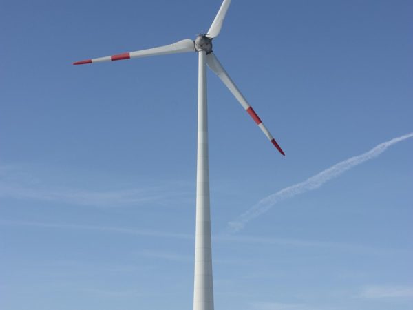 découvrez les enjeux, stratégies et bonnes pratiques pour adopter un mode de vie et une gestion durable. informez-vous sur la durabilité environnementale, sociale et économique afin de contribuer à un avenir responsable.