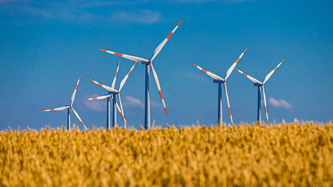 découvrez comment adopter un mode de vie durable grâce à des conseils pratiques, des solutions écologiques et des idées innovantes pour préserver l’environnement au quotidien.