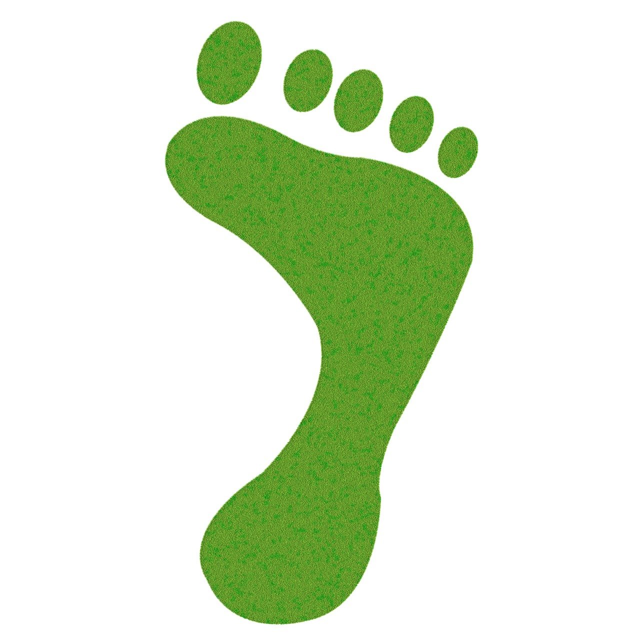 découvrez ce qu'est l'empreinte carbone, comment elle est calculée et quelles actions simples mettre en place pour réduire votre impact environnemental au quotidien.
