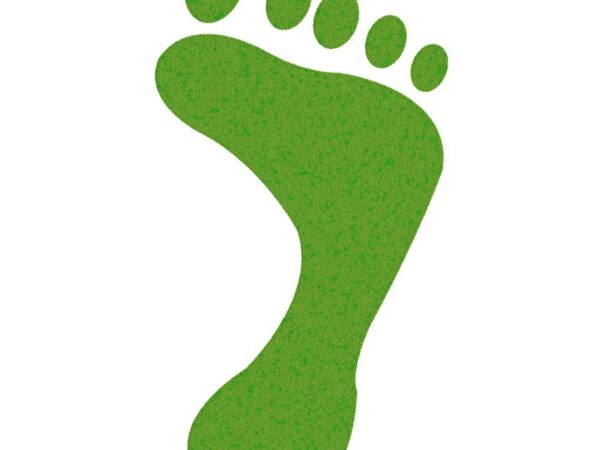 découvrez ce qu'est l'empreinte carbone, son impact sur l'environnement, et comment la réduire au quotidien pour lutter contre le changement climatique.