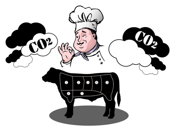 découvrez ce qu'est l'empreinte carbone, ses impacts sur l'environnement et comment la réduire grâce à des gestes simples pour protéger la planète.