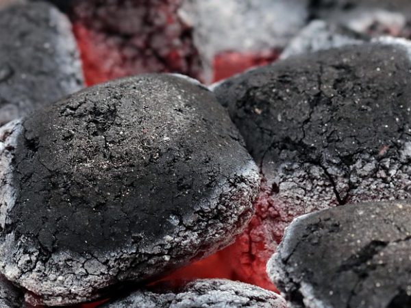 découvrez ce qu'est la neutralité carbone, ses enjeux et les actions à mettre en place pour réduire durablement votre impact environnemental et lutter contre le changement climatique.