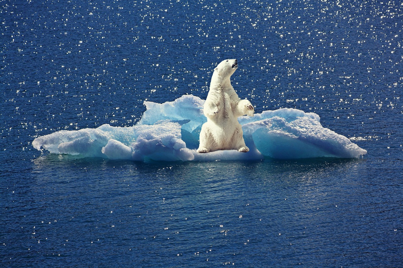 découvrez comment renforcer la résilience climatique afin de mieux anticiper et s’adapter aux impacts du changement climatique sur les communautés, l’environnement et l’économie.