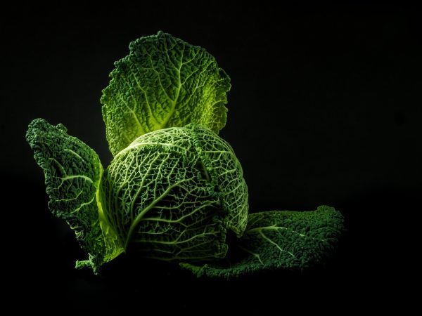 découvrez tout sur la green subsidy : définition, avantages et fonctionnement des subventions vertes pour encourager la transition écologique et soutenir les énergies renouvelables.